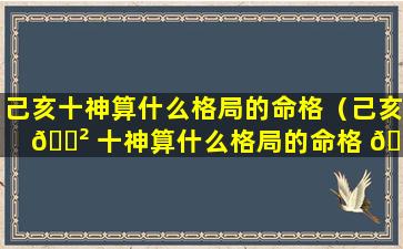 己亥十神算什么格局的命格（己亥 🌲 十神算什么格局的命格 🐬 呢）